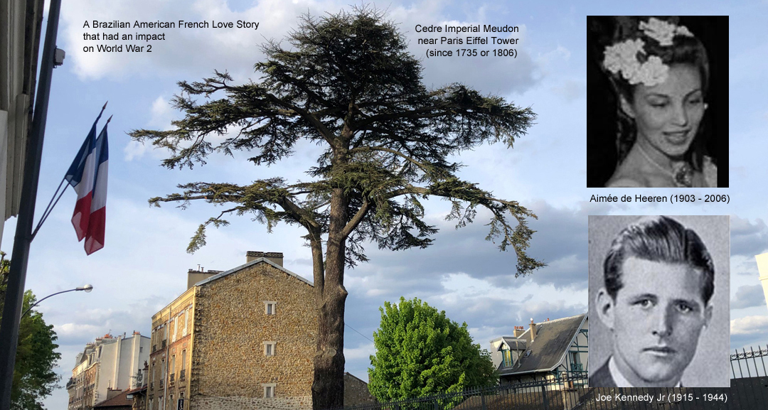 Aimée de Heeren, Joe Kennedy Jr