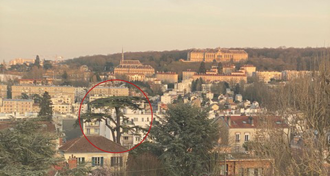 View on the Cedre Imperial from a villa in the propriete Jacqueminot