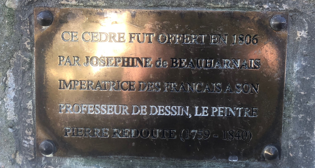 Momo plate explaining that the Redoute Cedar was a present of Empress Josephine c?dre Redoute
