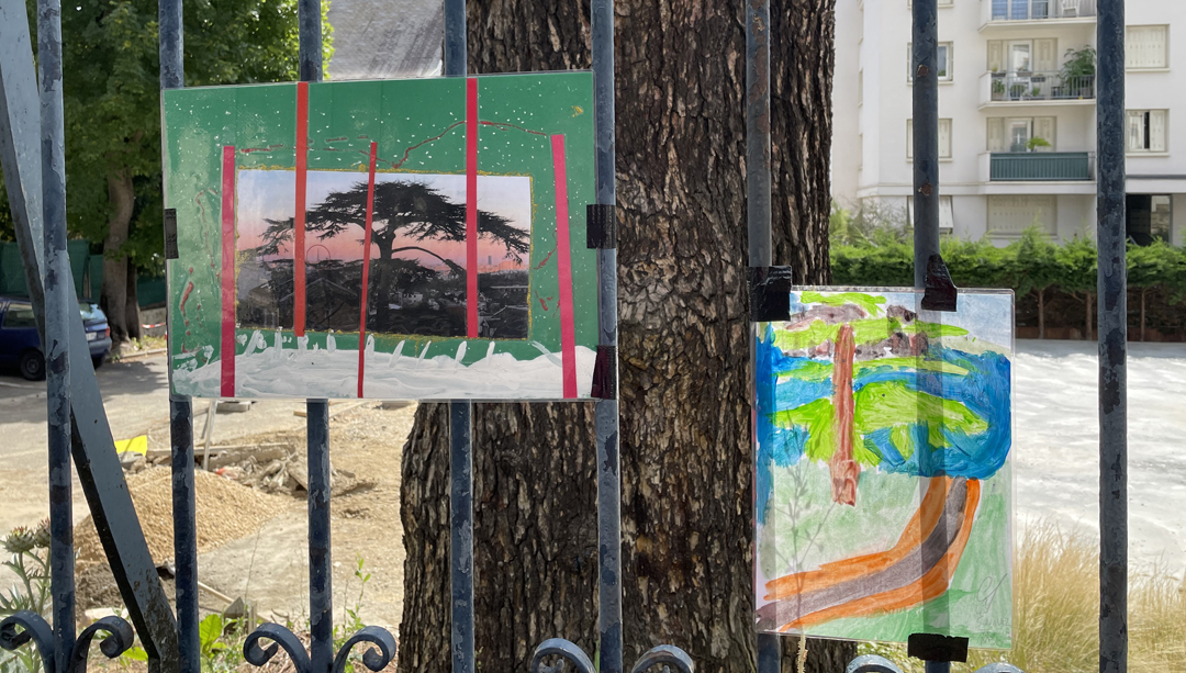 dessins d'enfants Cedre Imperial Meudon