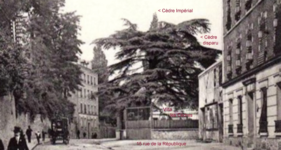 propriete de la villa les Cedres around 1910 propriete 11 rue de la Republique