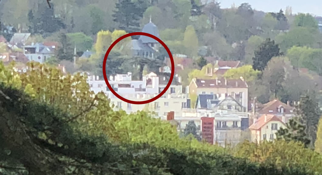 View on the Cedre Imperial from the fondation d'Auteuil